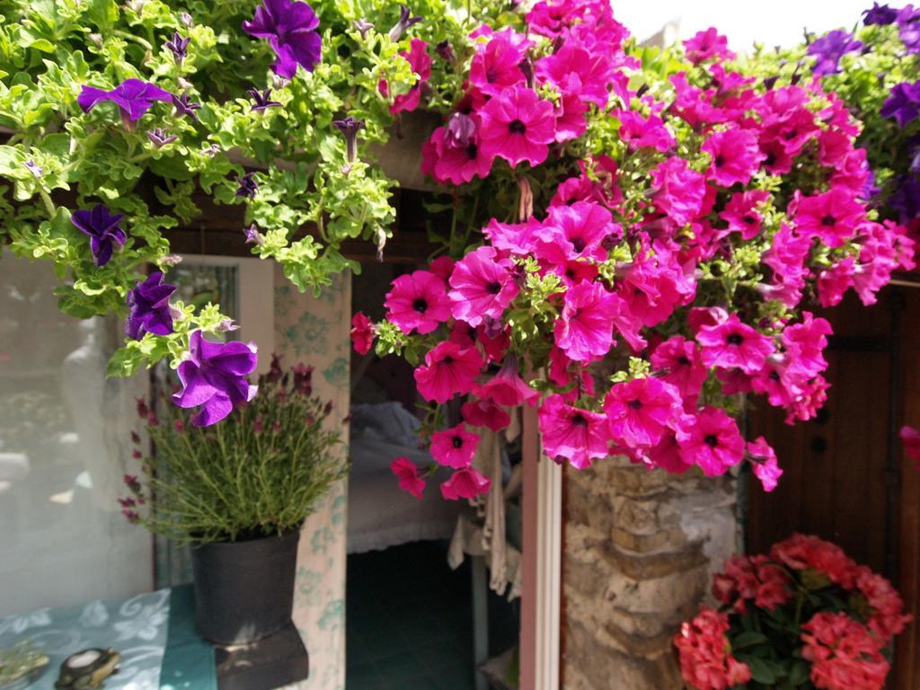 Le Petit Chateau Bed & Breakfast Dolceacqua Exterior photo